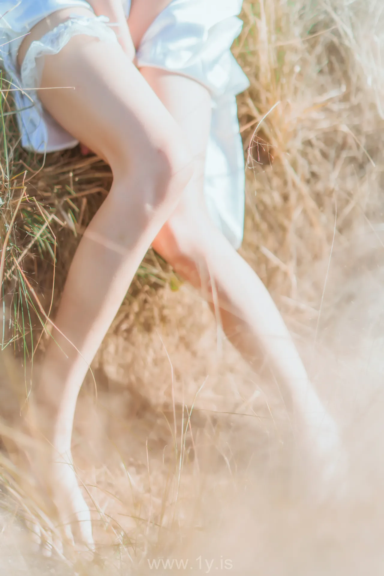 桜桃喵 NO.28 原野上的浪漫